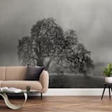 "in the rain" - Wall Mural in charcoal by Crystal Lynn Collins - In a Room