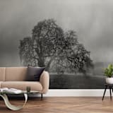 "in the rain" - Wall Mural in charcoal by Crystal Lynn Collins - In a Room