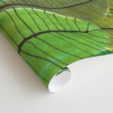 "Banana Leaf Bouquet" - Wall Mural in White by Madeline Trait - Close-up
