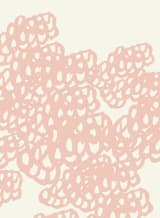 "Black Sheep" - Wall Mural in Pink by rose lindo - Full Size