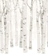 "Birch Woods in Winter" - Wall Mural in Grey by Shannon Chen of Four Wet Feet Studio - Full Size