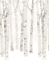 "Birch Woods in Winter" - Wall Mural in Grey by Shannon Chen of Four Wet Feet Studio - Full Size