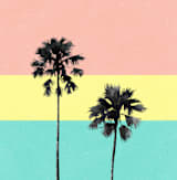 "Palm Tree Silhouette" - Wall Mural in Sunset by Cass Loh - Full Size