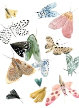 "Moths" - Wall Mural in White by Emilie Simpson - Full Size