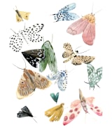 "Moths" - Wall Mural in White by Emilie Simpson - Full Size