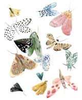 "Moths" - Wall Mural in White by Emilie Simpson - Full Size