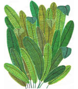 "Banana Leaf Bouquet" - Wall Mural in White by Madeline Trait - Full Size