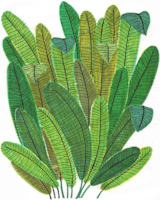 "Banana Leaf Bouquet" - Wall Mural in White by Madeline Trait - Full Size