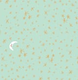 "Good Night Moon and Stars" - Wall Mural in Mint by Patrice Horvath - Full Size