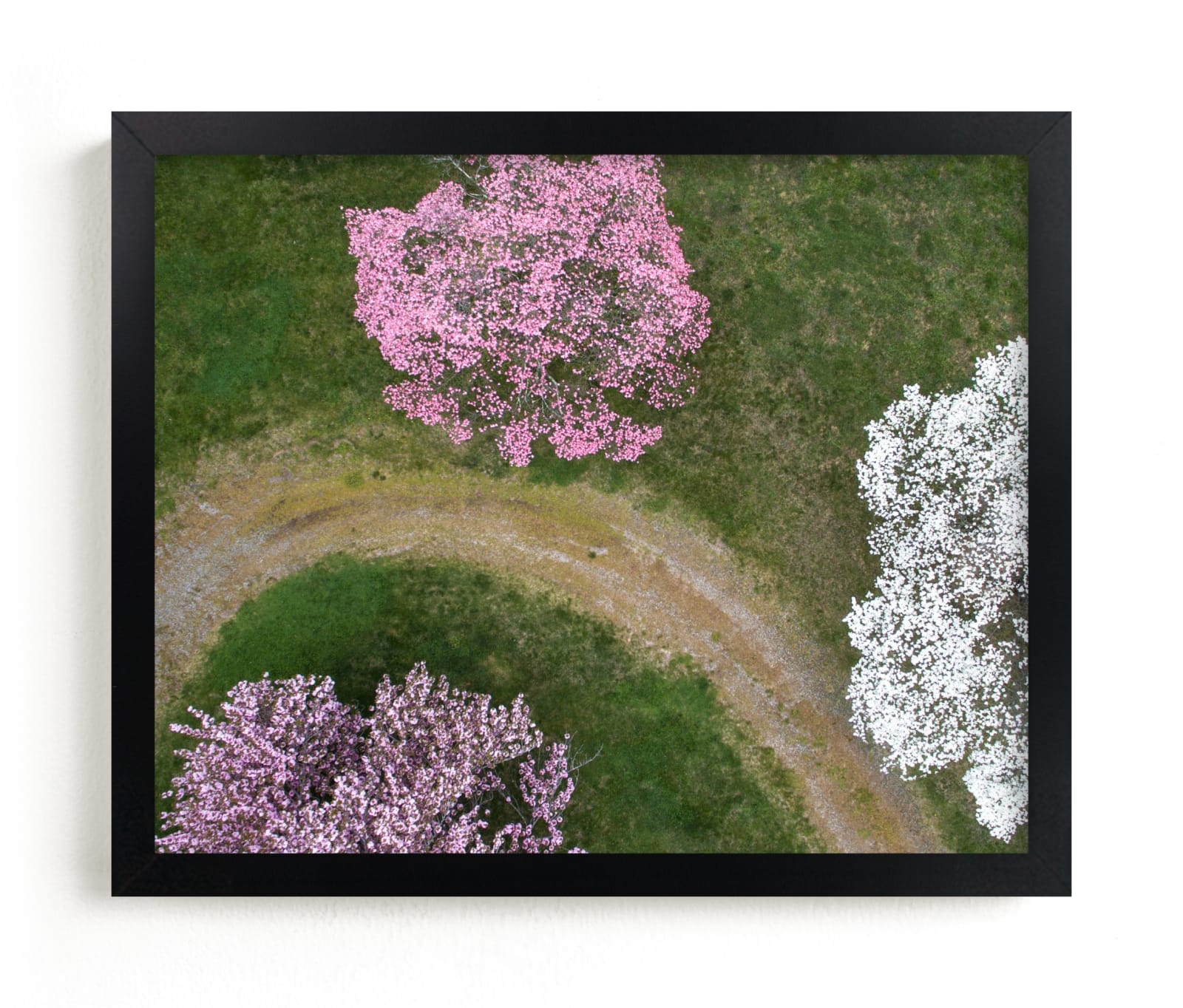 "Dogwood Lane" - Limited Edition Art Print by Owl and Toad in beautiful frame options and a variety of sizes.