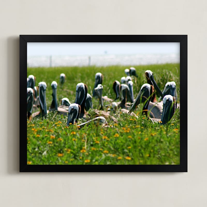 Pelican Island