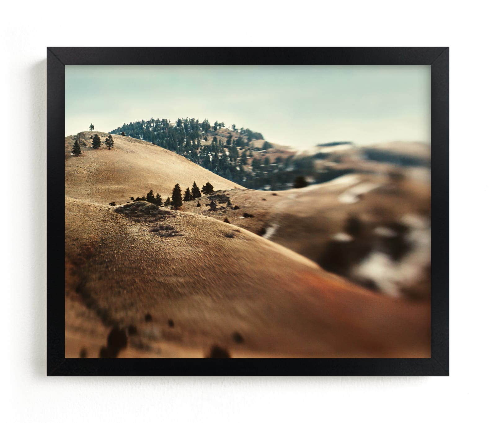"Montana Lone Tree" by Stacy Kron in beautiful frame options and a variety of sizes.