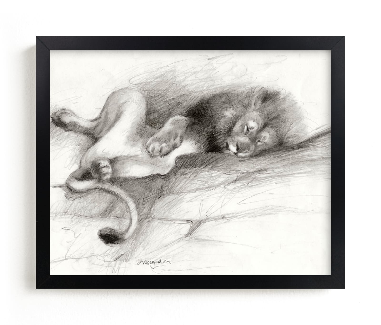 "Lazy Lion" by Tracy Ann in beautiful frame options and a variety of sizes.