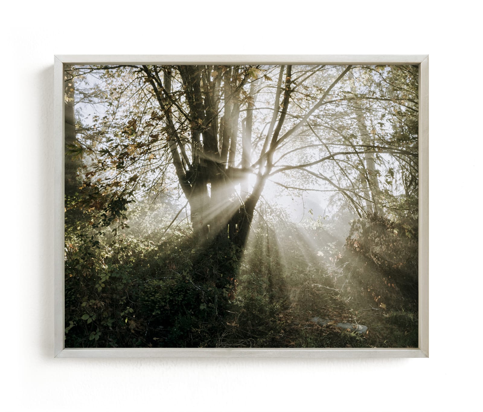 "Foggy Treehouse" - Limited Edition Art Print by Katie Buckman in beautiful frame options and a variety of sizes.