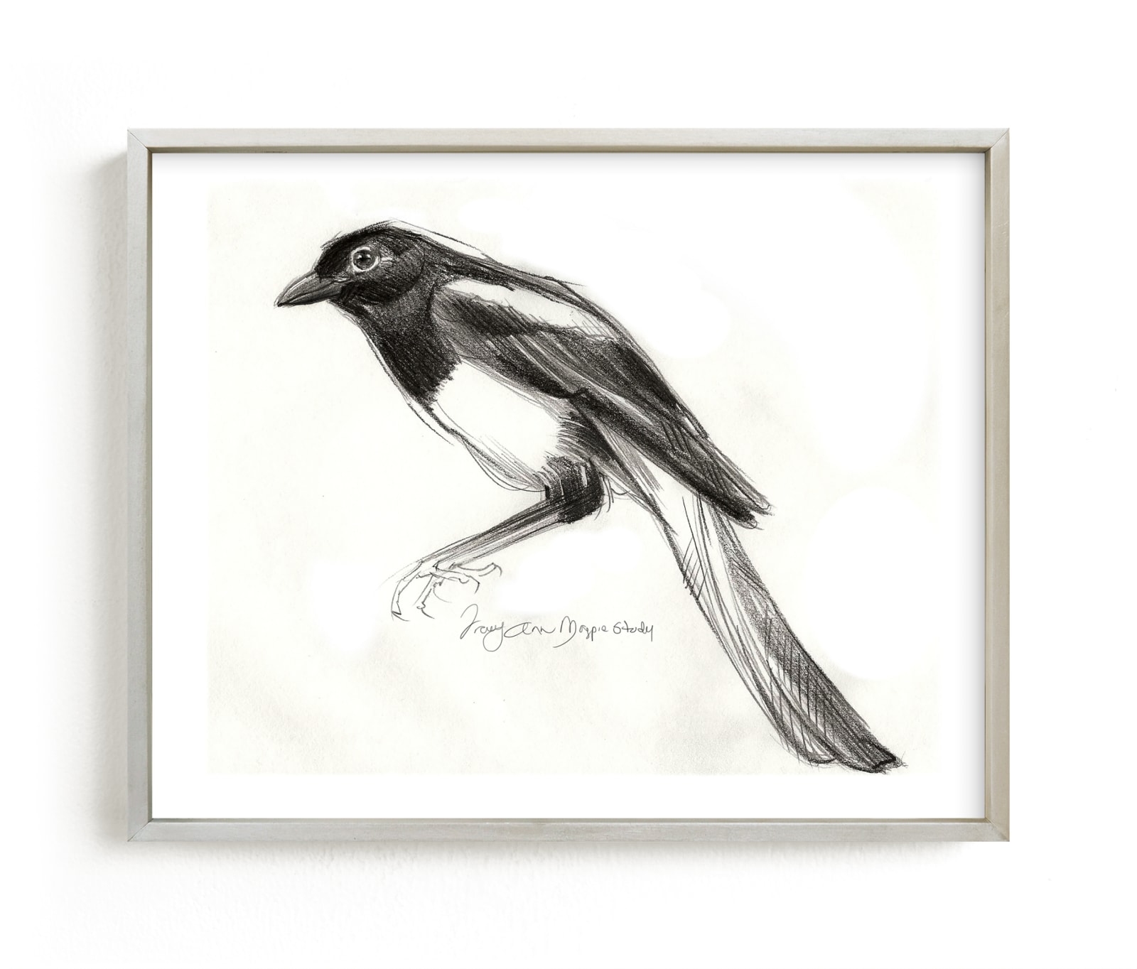 "Magpie Sketch" by Tracy Ann in beautiful frame options and a variety of sizes.