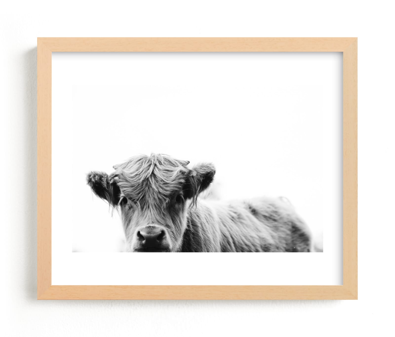 "Leon" - Limited Edition Art Print by Amy Carroll in beautiful frame options and a variety of sizes.