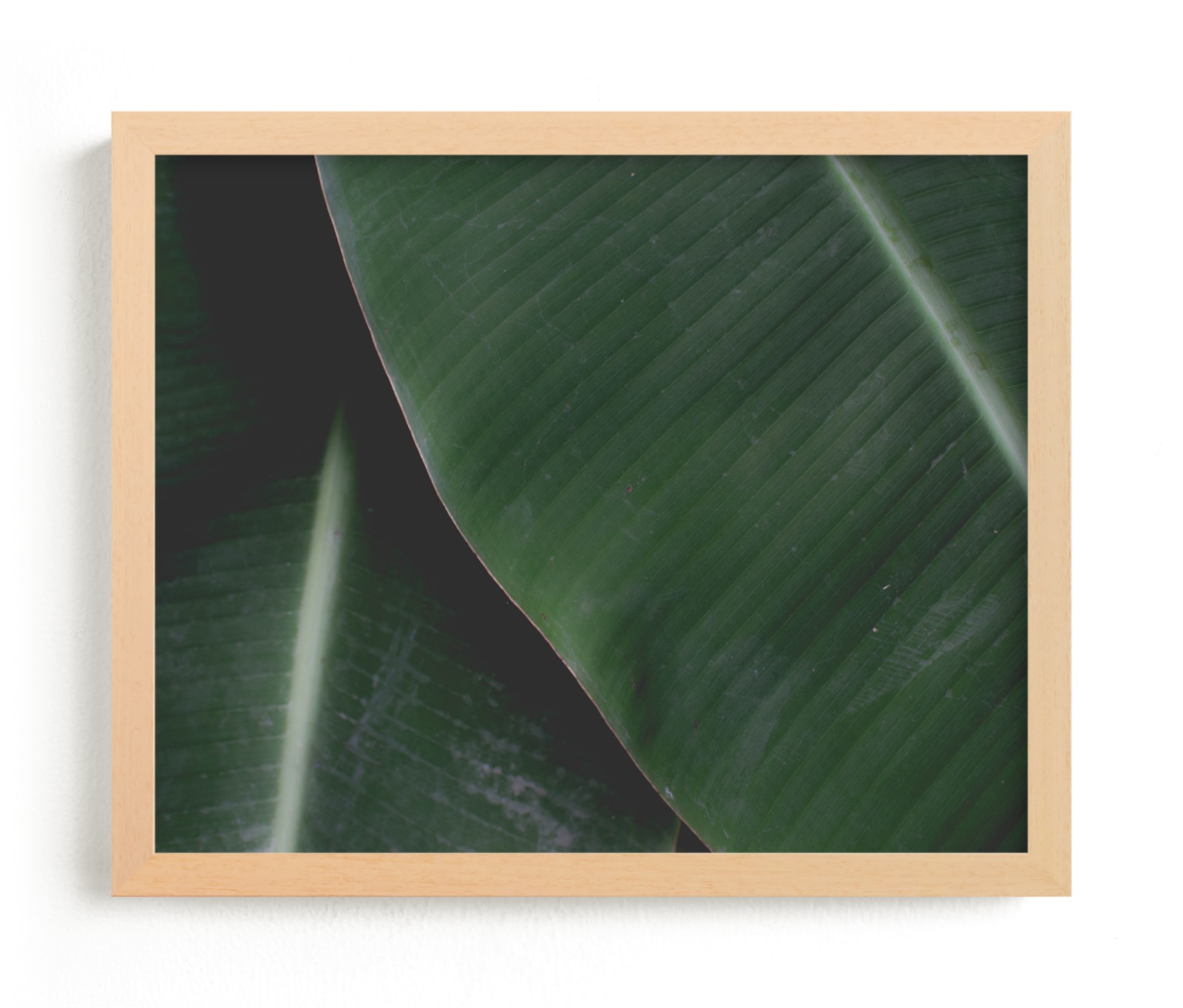 "Leafy Lana" by Katie Short in beautiful frame options and a variety of sizes.