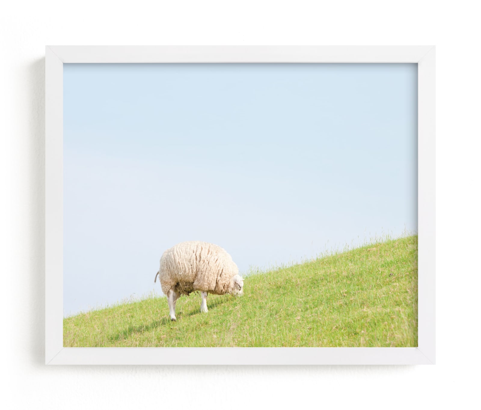 "Sheep at Lunch" - Limited Edition Art Print by Alexandra Feo in beautiful frame options and a variety of sizes.