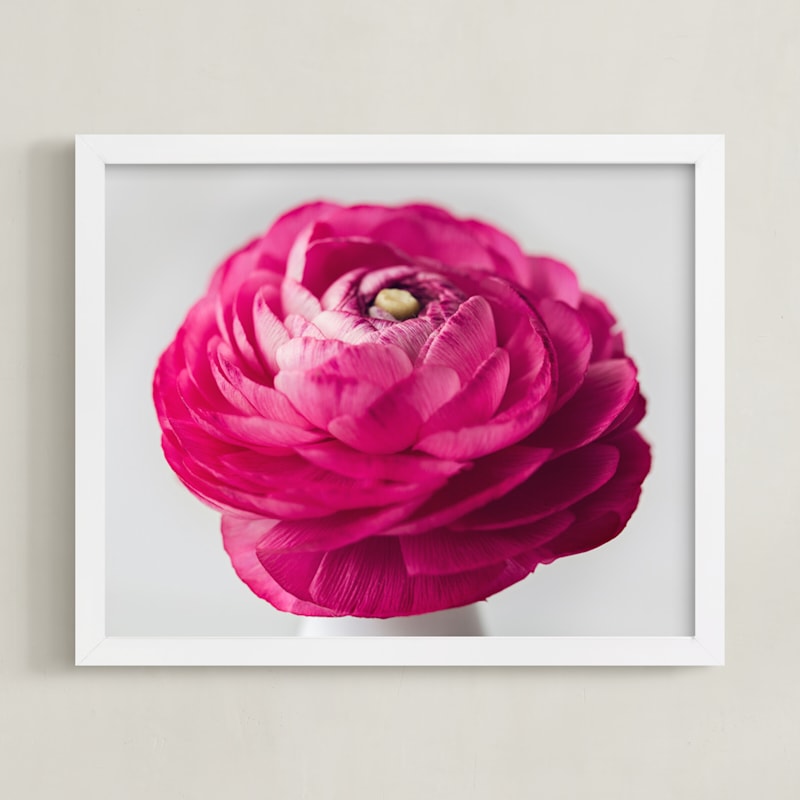 "Budding Ranunculus 3" - Art Print in fuchsia pink by Jessica Marchetti - Framed