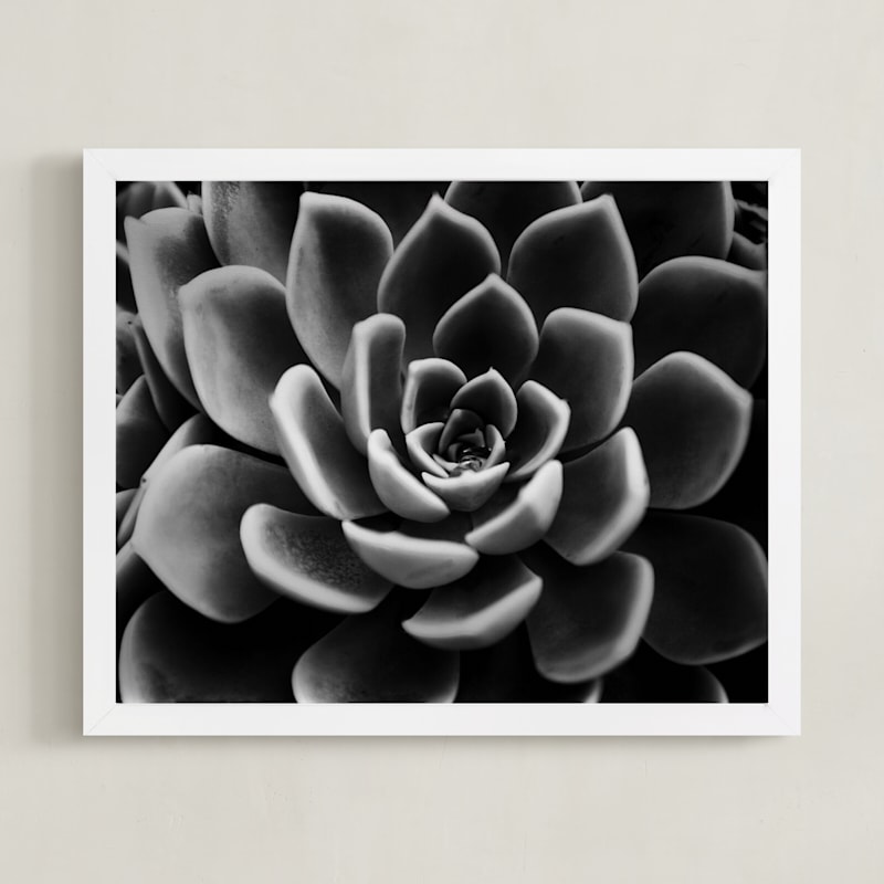 "BW Succulent" - Art Print in black by Alexis Arnold - Framed