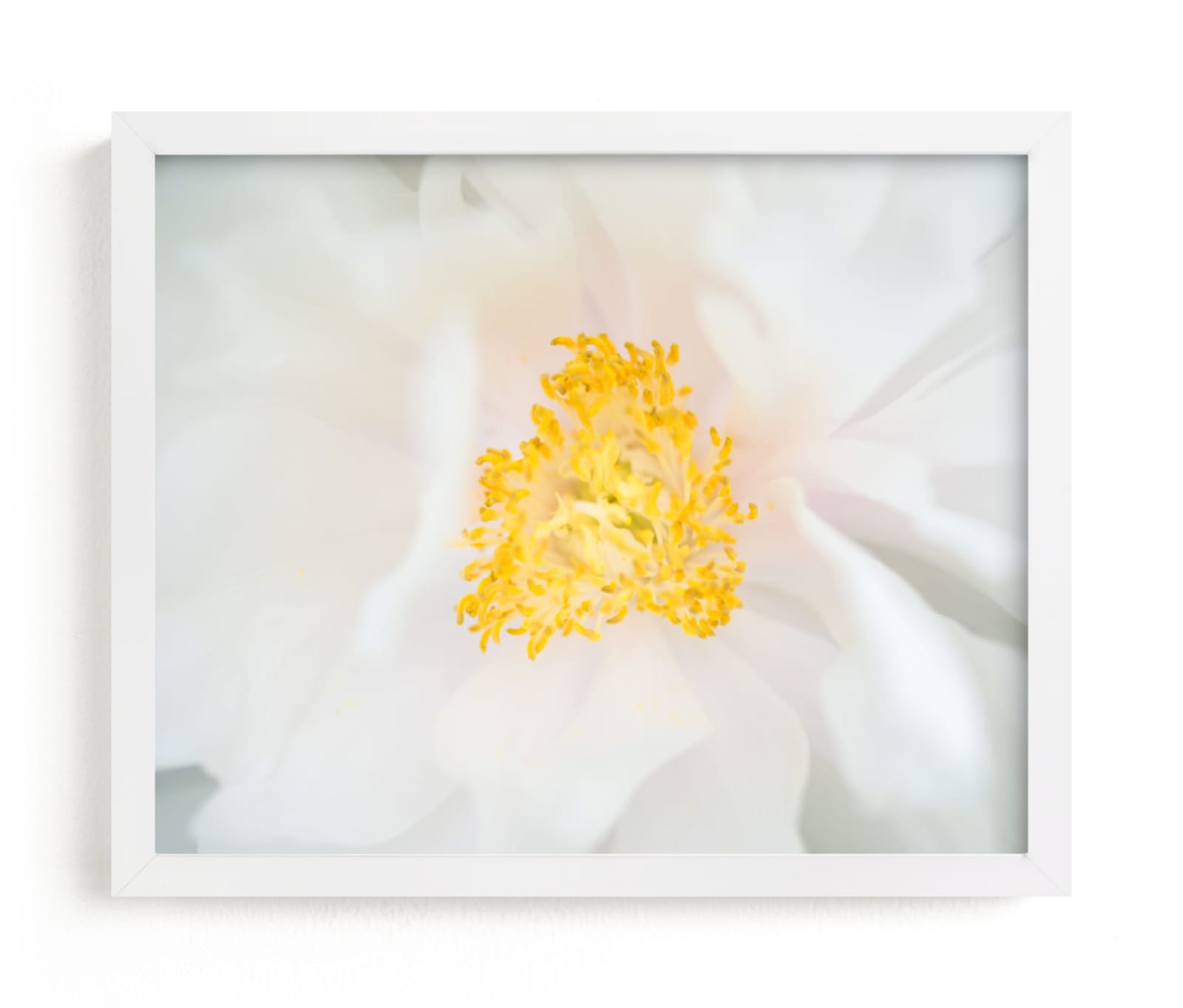 "Majestic Peony" - Art Print by Ilze Lucero in beautiful frame options and a variety of sizes.