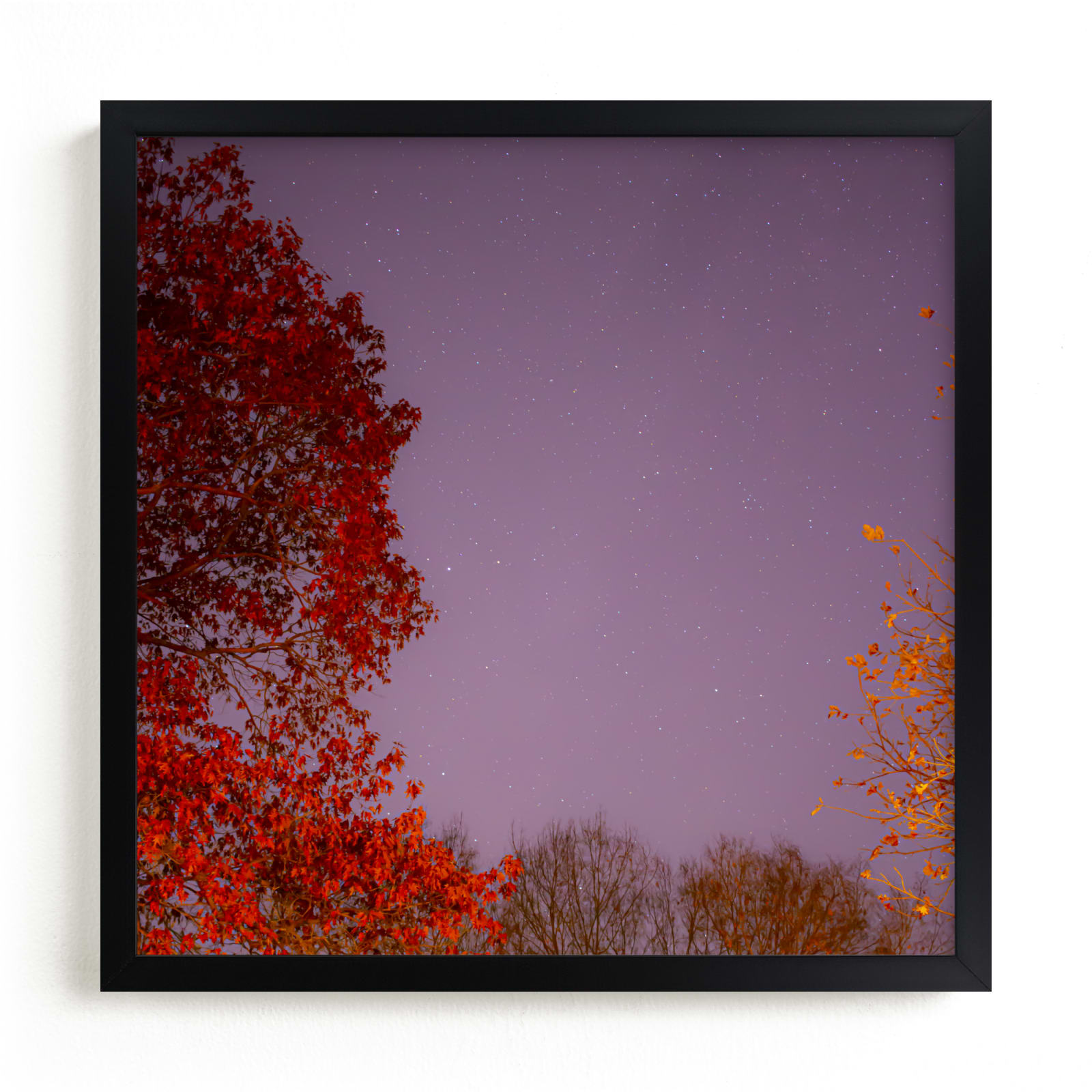 "Hot Stars" - Limited Edition Art Print by Jeff Preuss in beautiful frame options and a variety of sizes.
