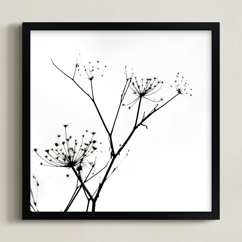 Graphic Elements of Nature