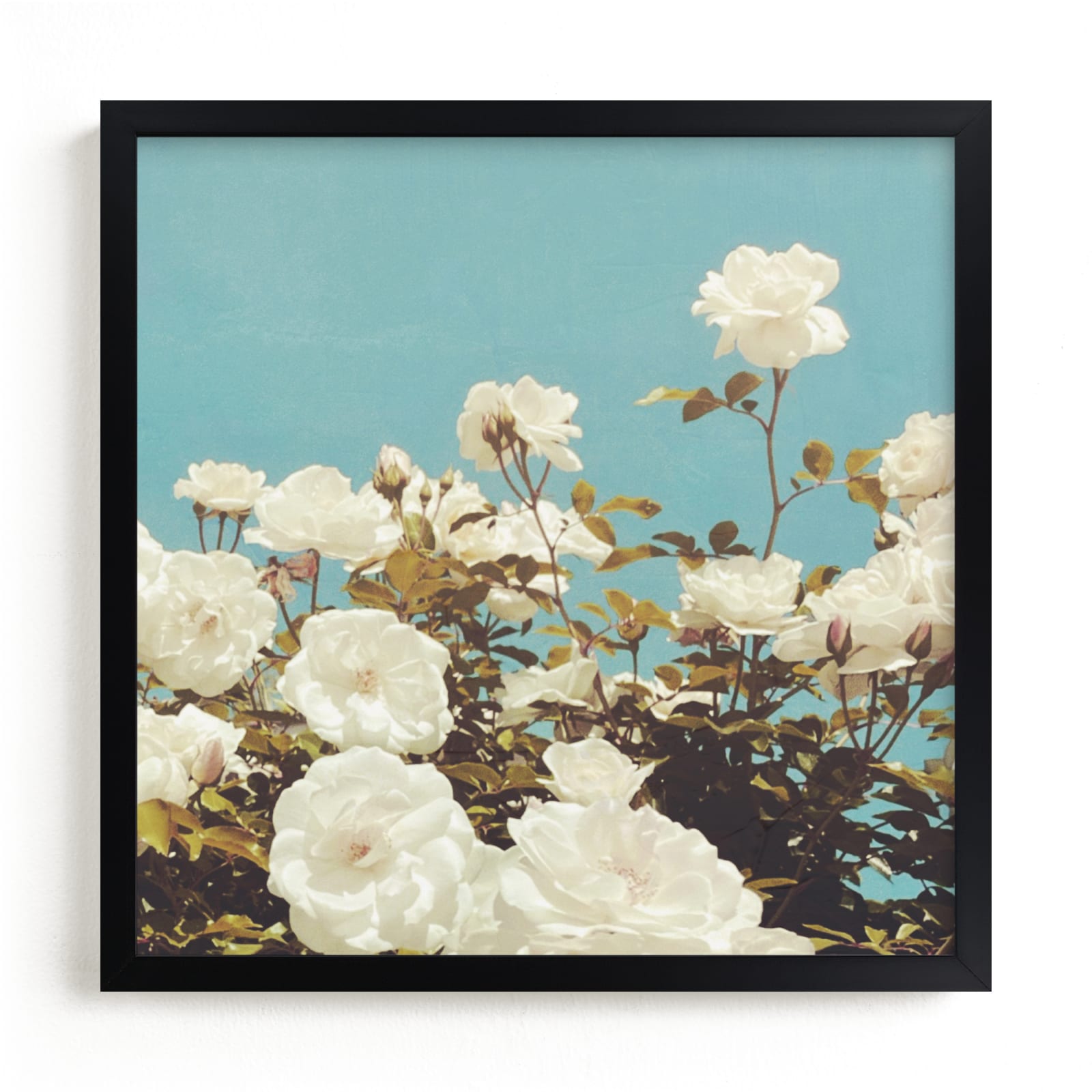 "In Bloom (Square)" by Amber Barkley in beautiful frame options and a variety of sizes.