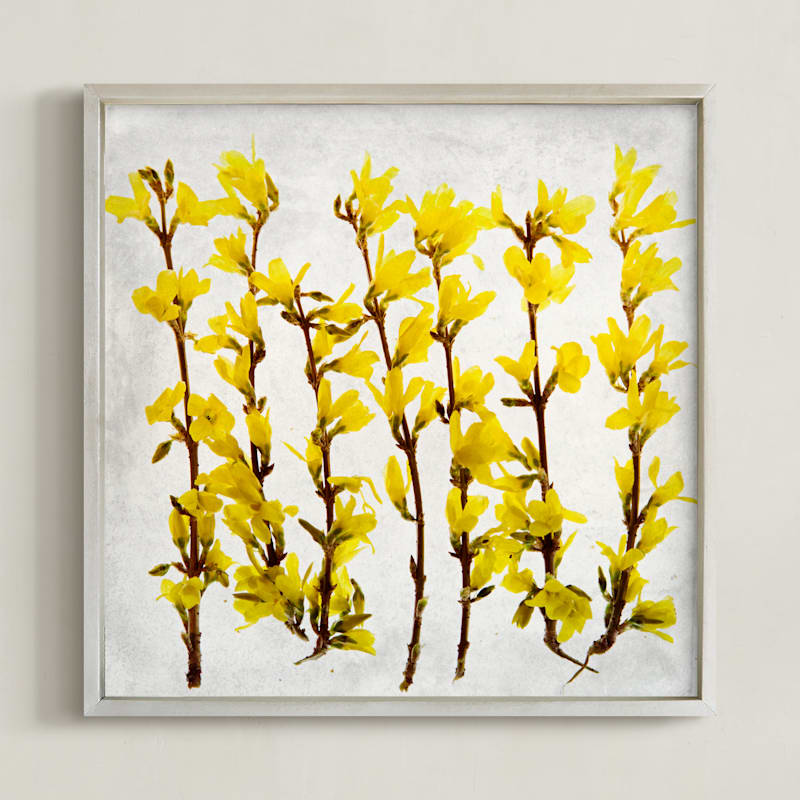 "Forsythia" - Art Print in yellow by Qing Ji - Framed