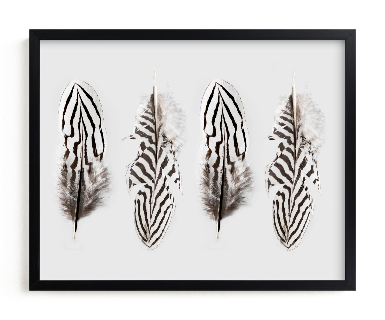 "Four Feathers" - Art Print by Shine Haus Collective in beautiful frame options and a variety of sizes.
