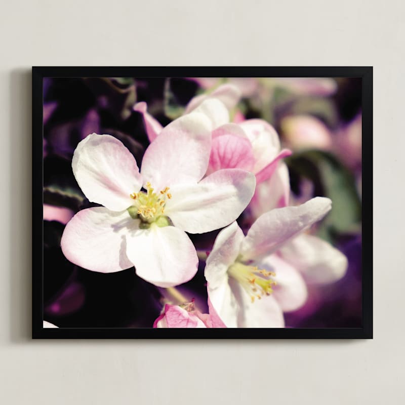 Watercolour Apple Blossoms