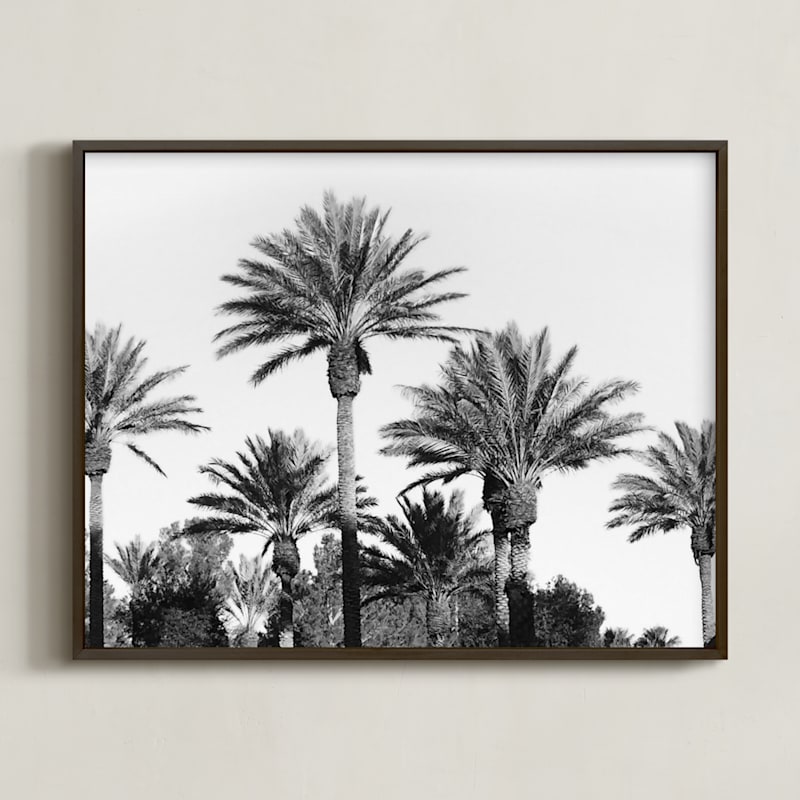 Laid Back Palms