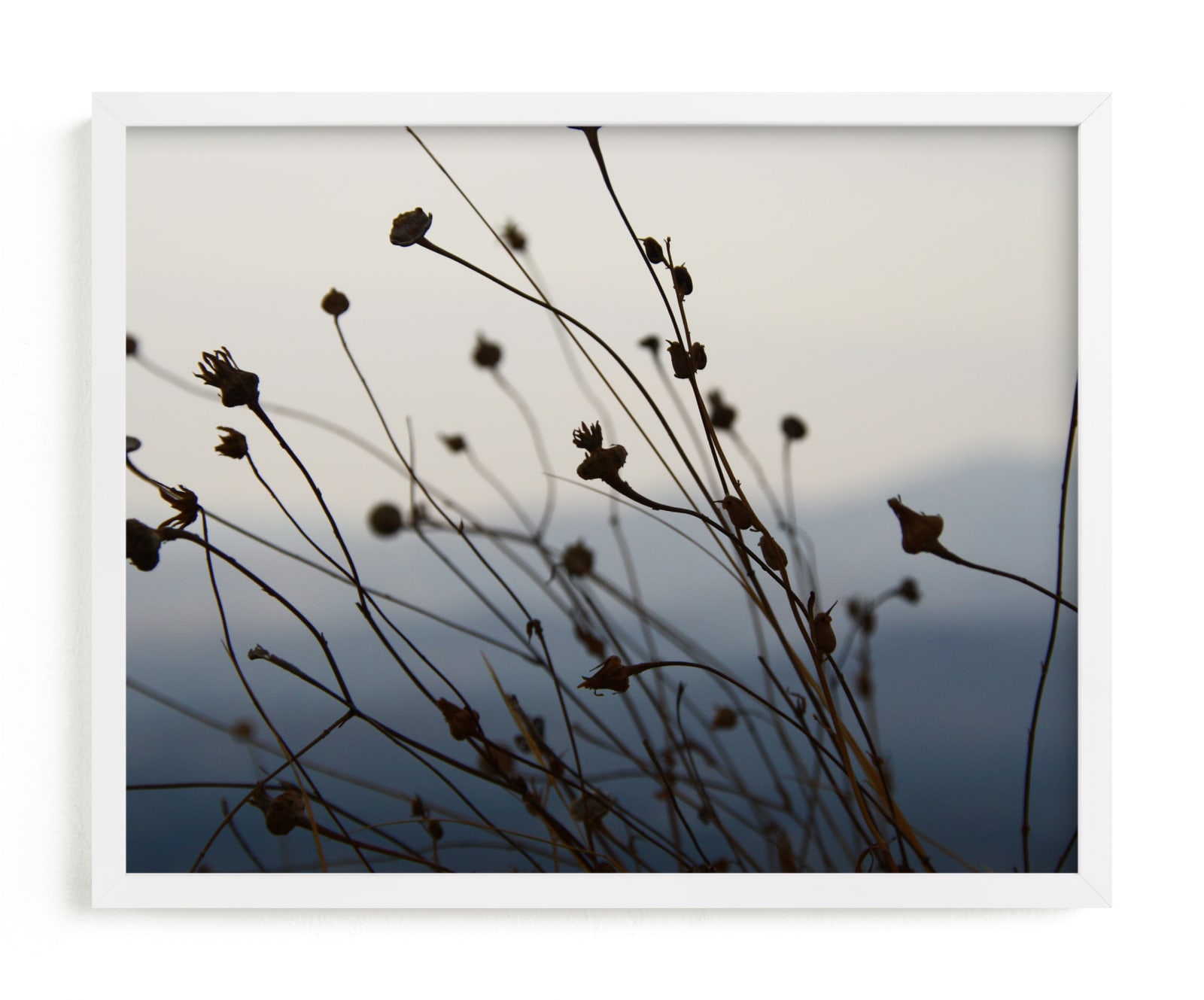 "Sway" - Limited Edition Art Print by lulu and isabelle in beautiful frame options and a variety of sizes.
