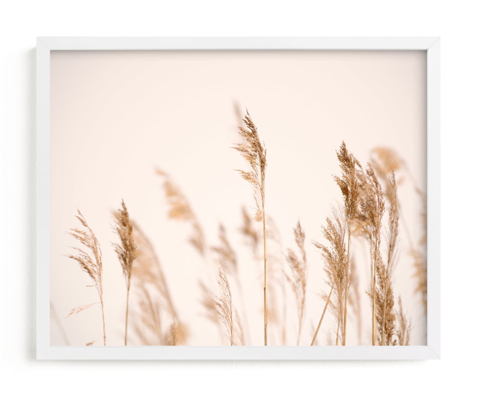 "summer weeds" - Grownup Open Edition Non-custom Art Print by Crystal Lynn Collins in beautiful frame options and a variety of sizes.