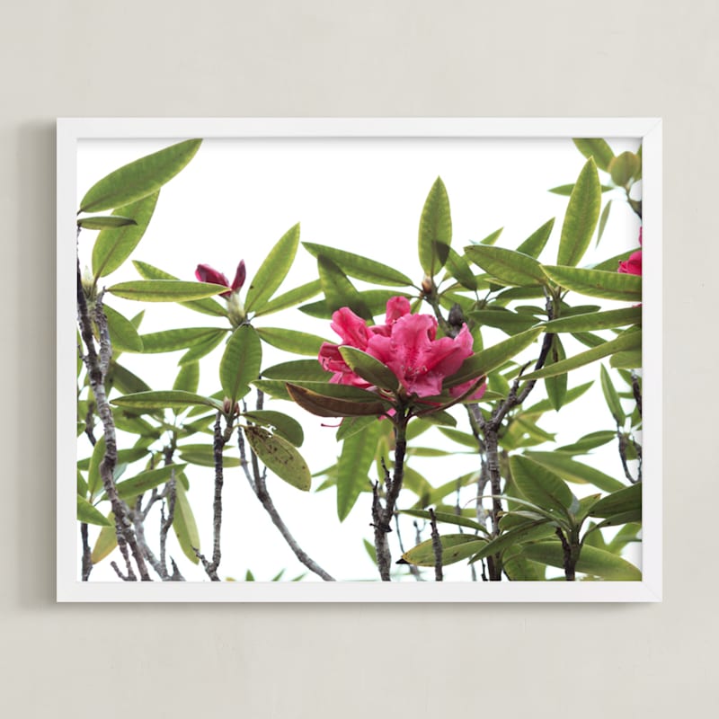 "SPRING TIME IN BLOOM, GOLDEN GATE PARK." - Art Print in Pashion Flower by Thom.Club - Framed