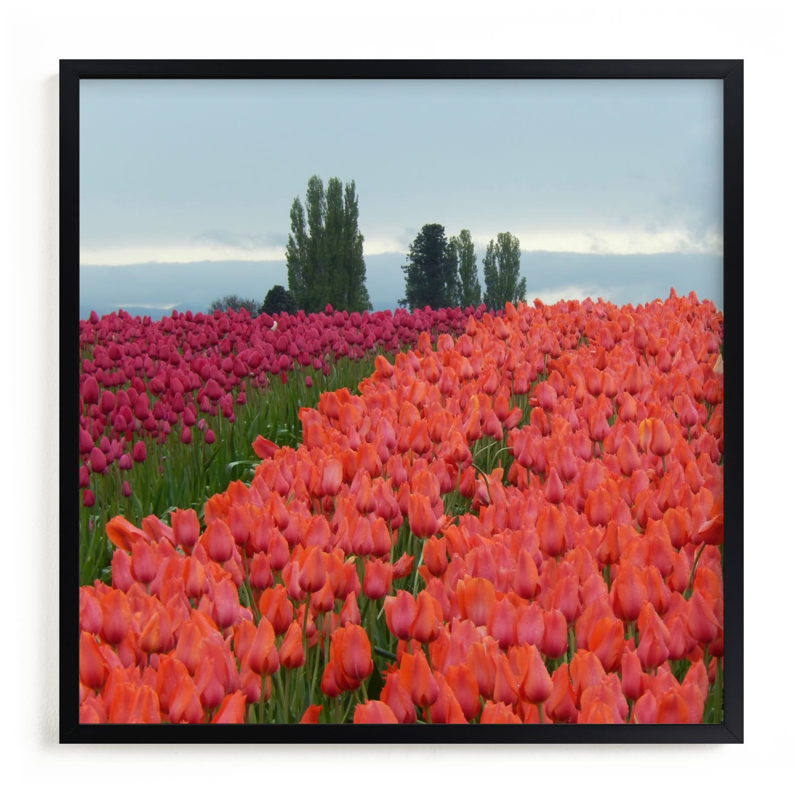 "Magic Land 2" - Art Print by Jan Kessel in beautiful frame options and a variety of sizes.