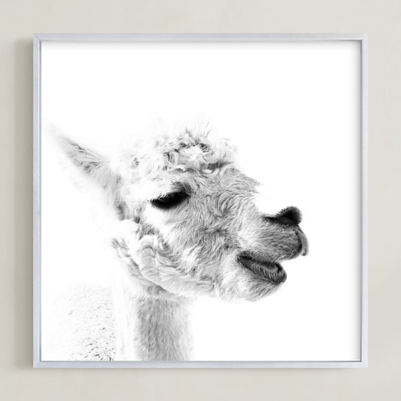 "Happy Alpaca" - Art Print in White by Jessie Steury - Framed