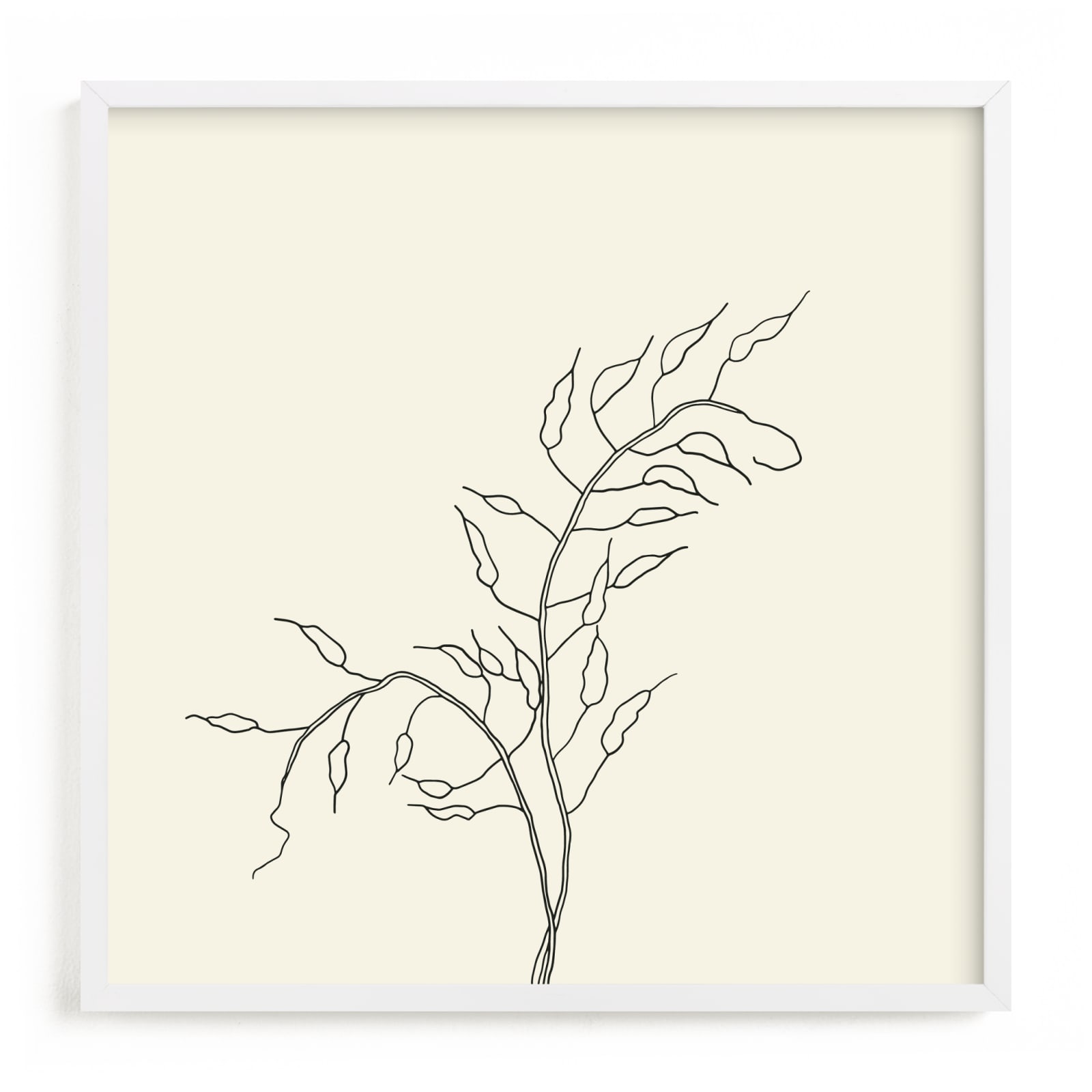 "Wild Radish" - Limited Edition Art Print by Jorey Hurley in beautiful frame options and a variety of sizes.