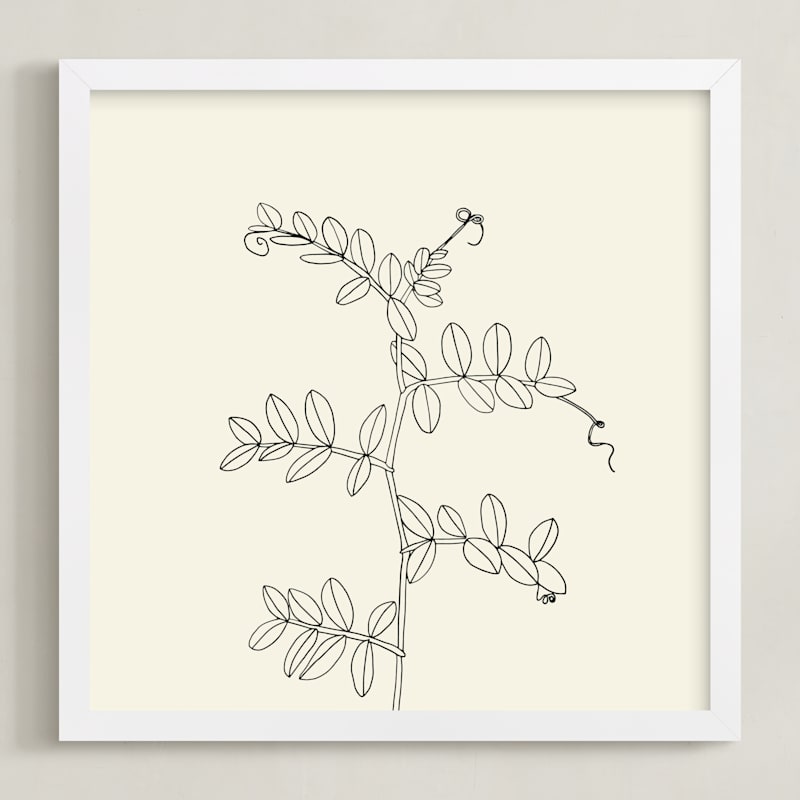 "Wild Pea" - Art Print in charcoal on ivory background by Jorey Hurley - Framed
