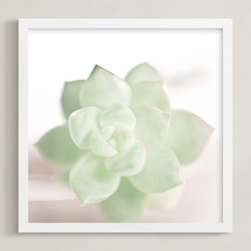 Soft Succulent No. 2