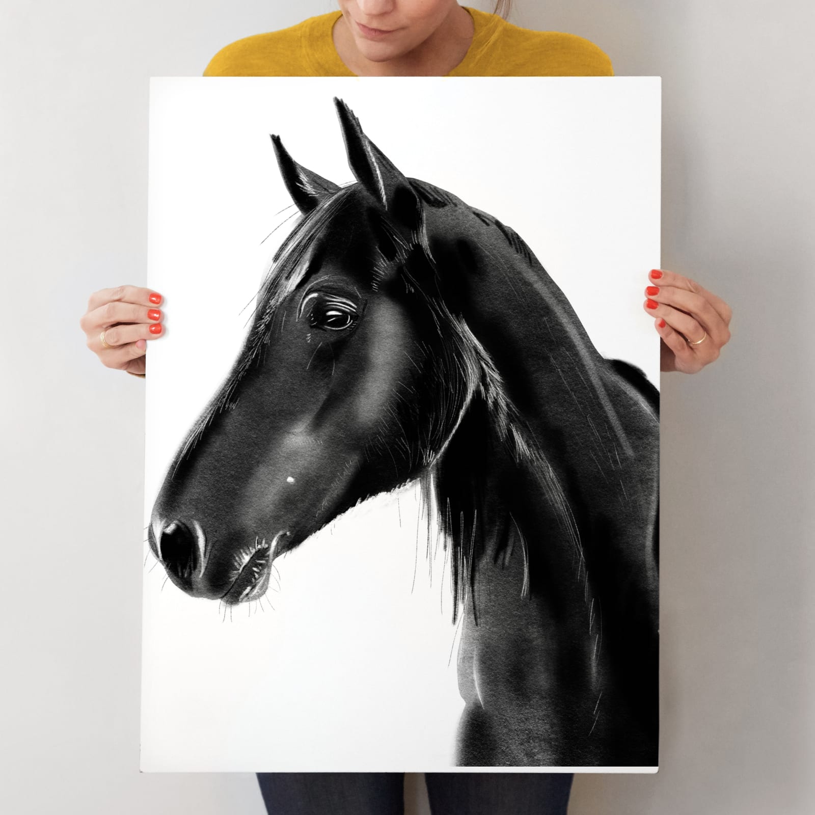 How to Draw a Horse with Charcoal