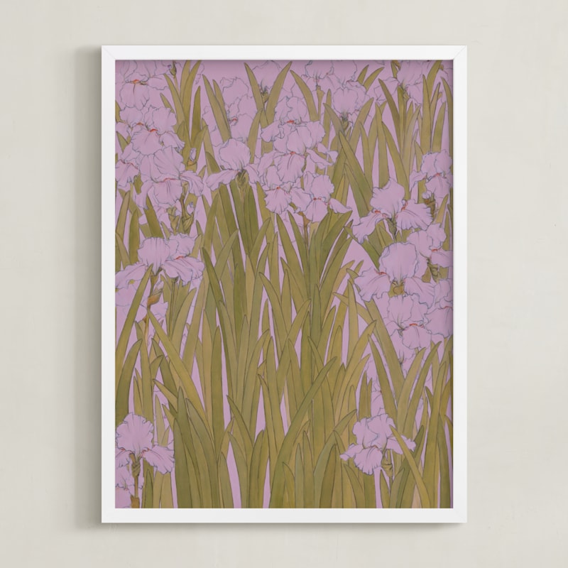 MIN-DZH-DNA - Iris Garden