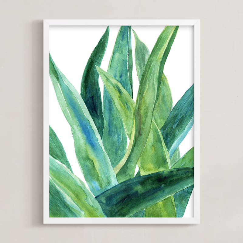 MIN-TAZ-DNA - Tropical plants I