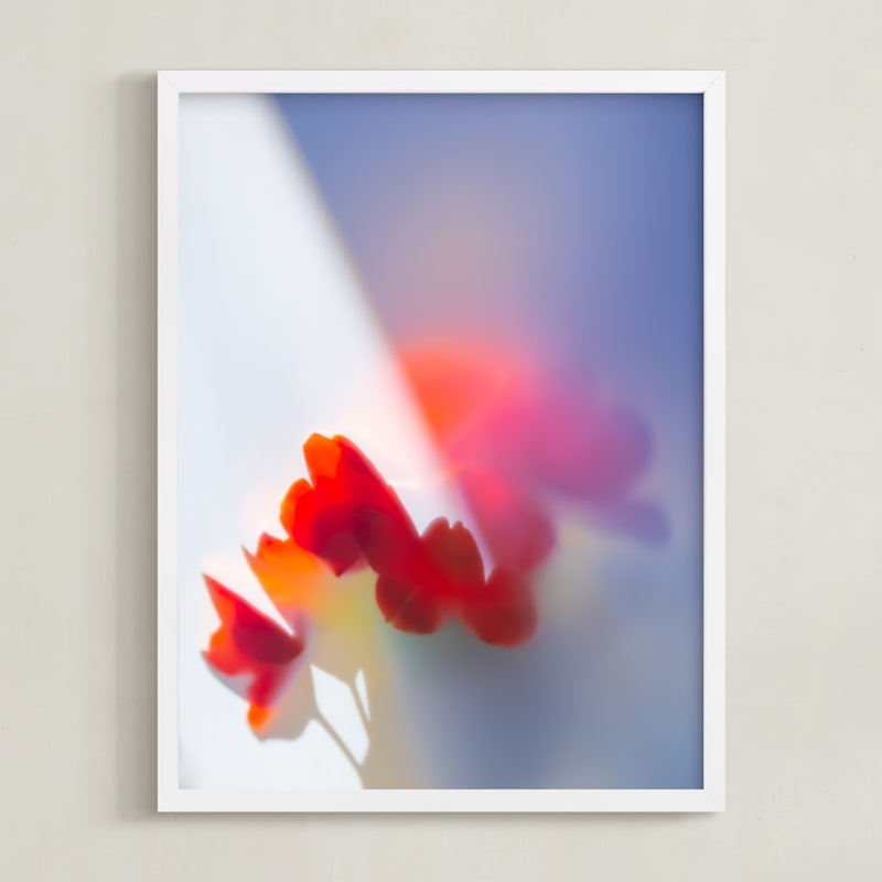 MIN-ZJG-DNA - Flora Prism