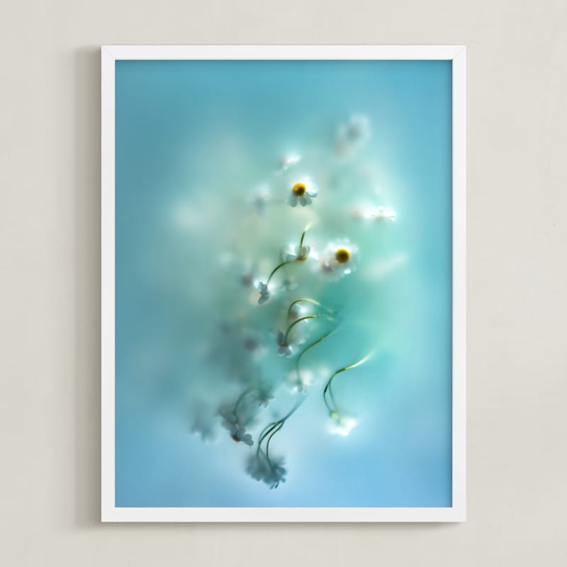 MIN-ZPG-DNA - Daisies in aqua