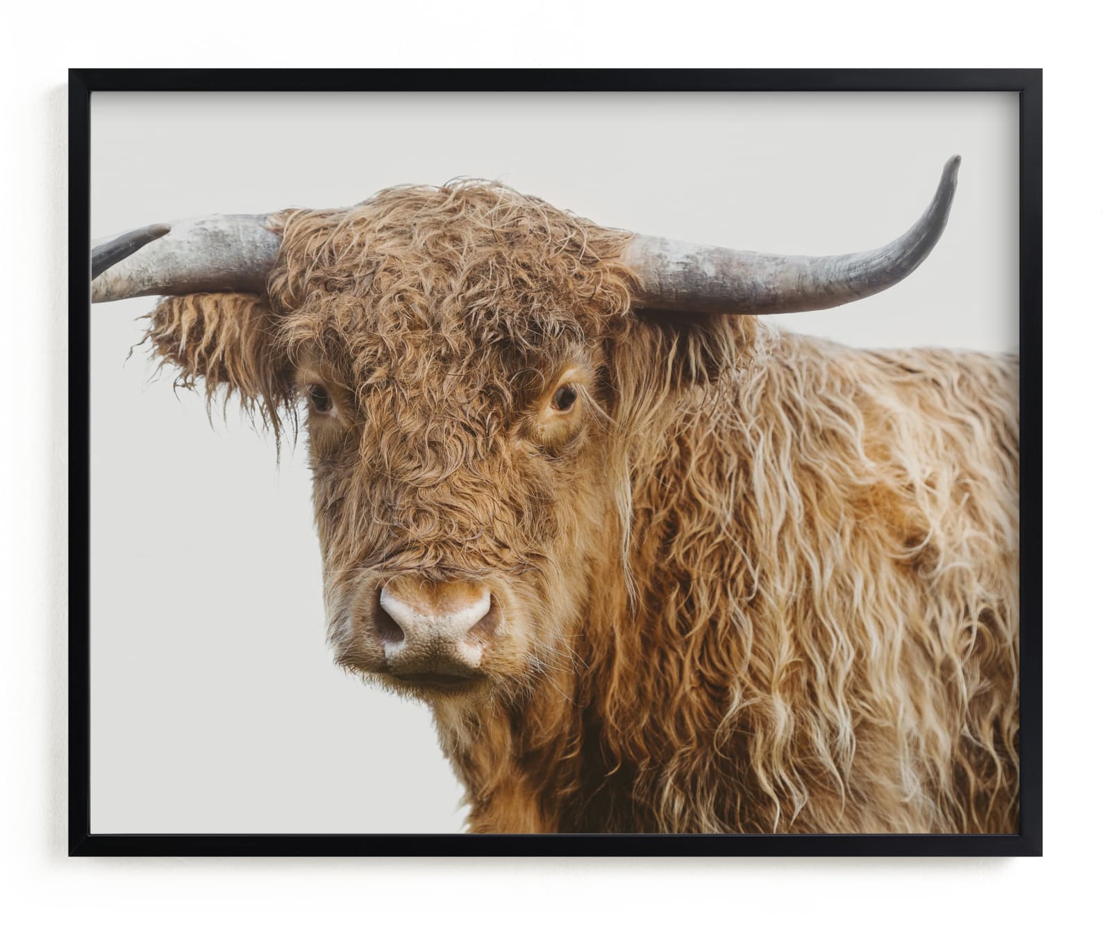 "Carl" - Limited Edition Art Print by Jennifer Morrow in beautiful frame options and a variety of sizes.