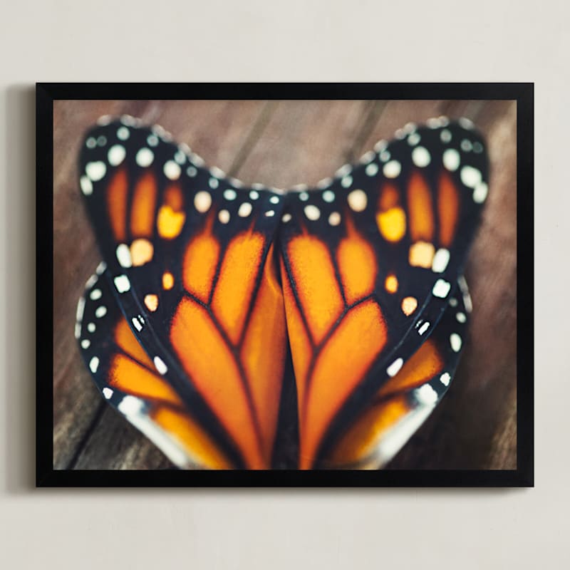 Monarch Study #3