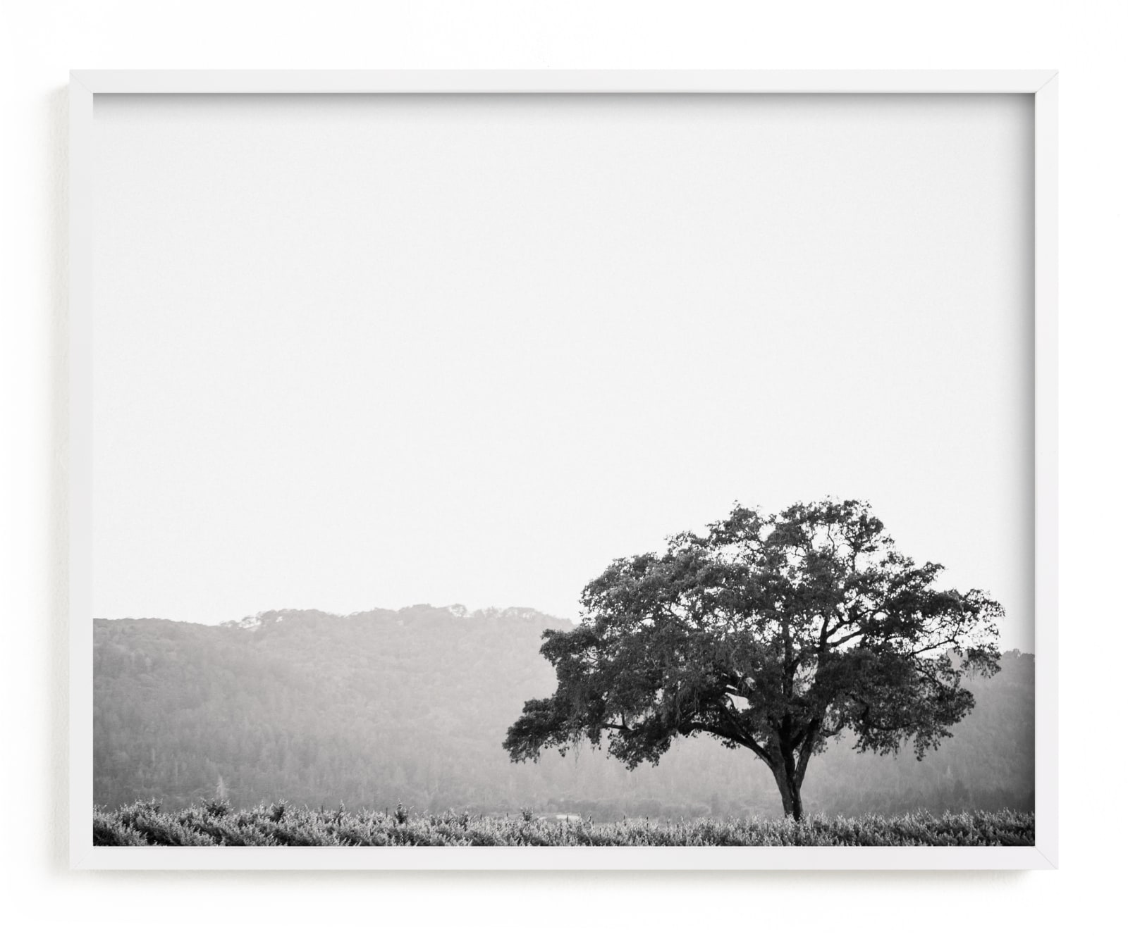 "Wild Oak" - Limited Edition Art Print by Lindsay Ferraris Photography in beautiful frame options and a variety of sizes.