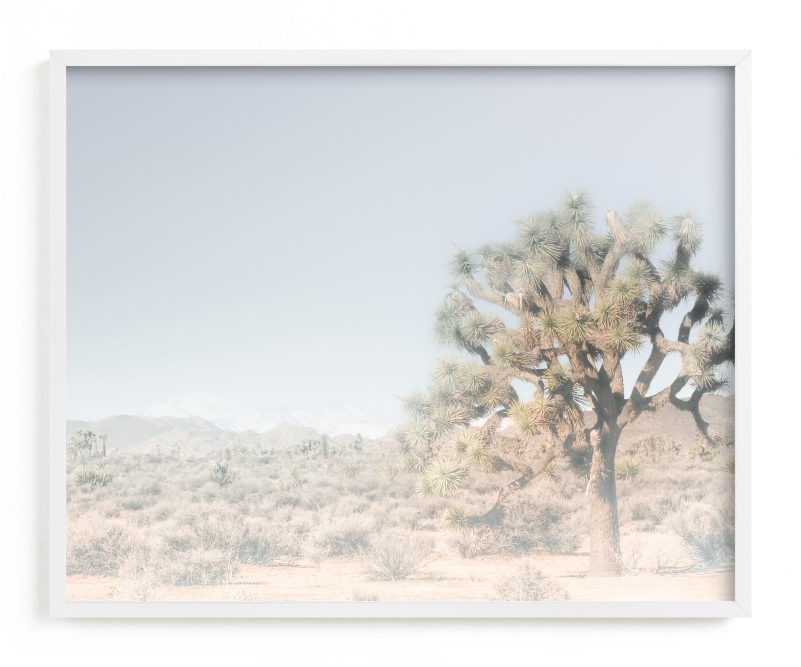 "Joshua Tree #1" - Art Print by Shannon Howard in beautiful frame options and a variety of sizes.