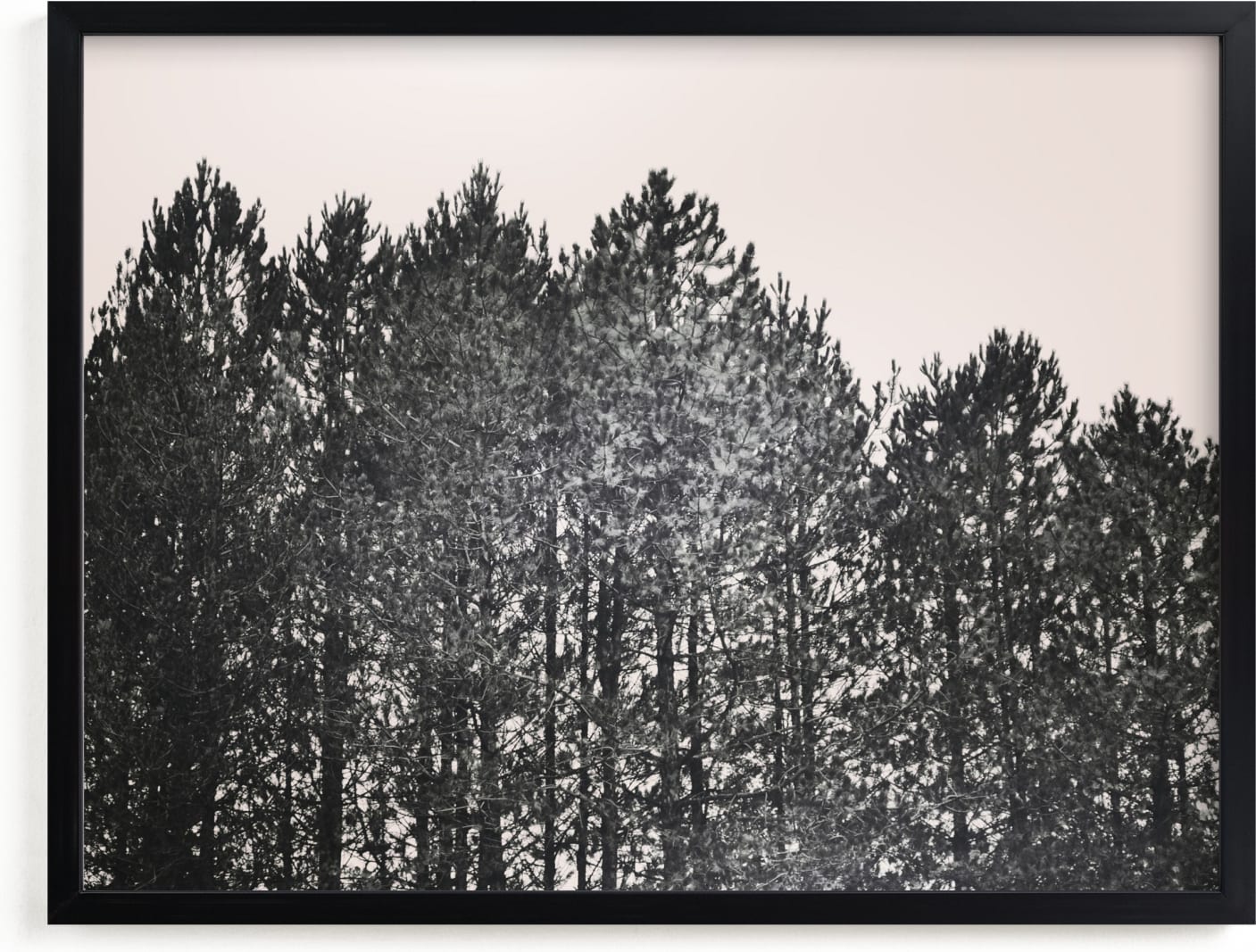 This is a ivory, black and white, black art by Katie Short called Pines.